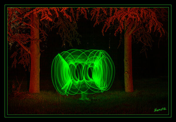 Geisterpflanze
Schlüsselwörter: Lichtmalerei , Light Painting, 2020