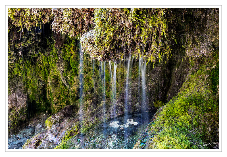 Wasserfall Dreimühlen
Drei kleinere Karstquellen mit stark kalkhaltigem Wasser hatten in den zurückliegenden 10.000 Jahren seit der letzten Eiszeit ein etwa 300 Meter breites und 100 Meter tiefes Kalksinter­plateau geschaffen. laut Wikipedia
Schlüsselwörter: Eifel; Rheinland-Pfalz; Vulkaneifel;