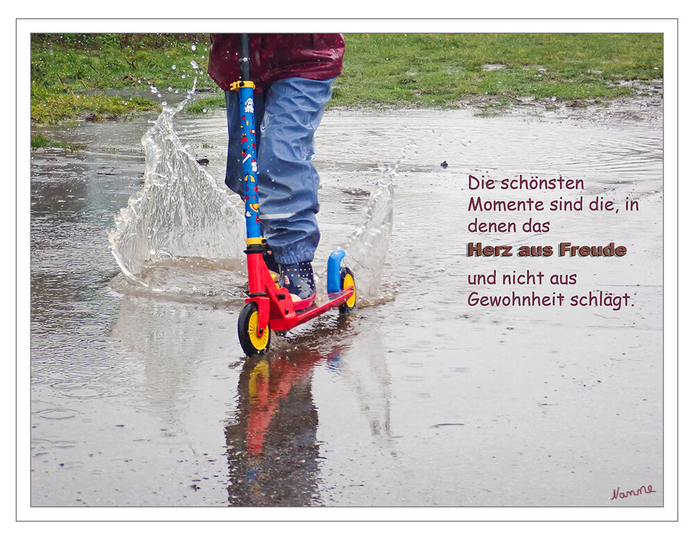 Freude
Schlüsselwörter: Regen; Wasser; Pfütze; Roller