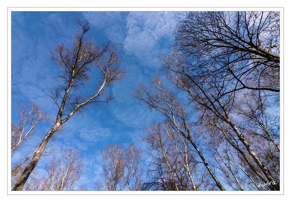 Blick in den Himmel
Schlüsselwörter: 2021