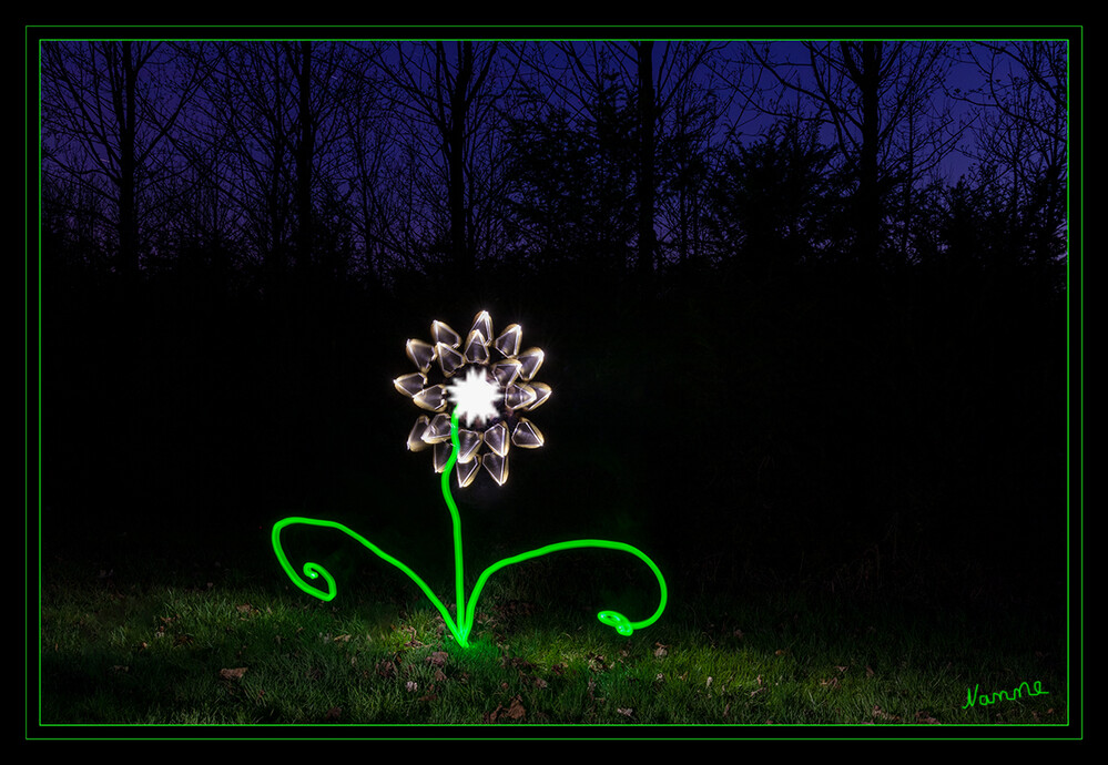 Lichtblume 
Schlüsselwörter: Lichtmalerei; Lightpainting; 2021