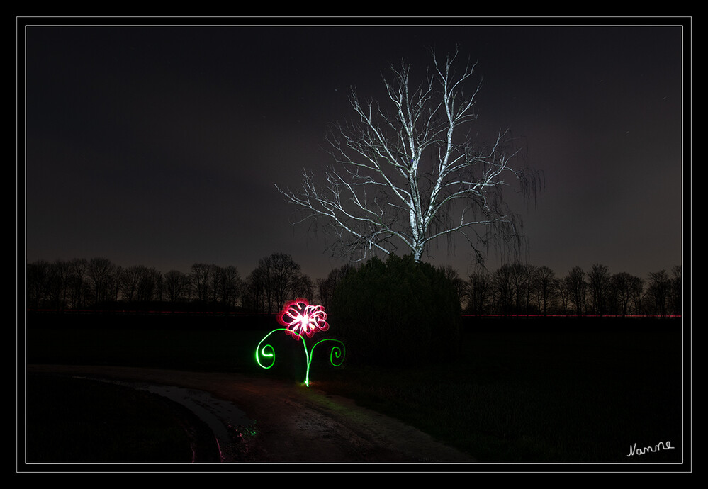 Lichtblume in der Dunkelheit
Schlüsselwörter: Lichtmalerei; Lightpainting; 2021