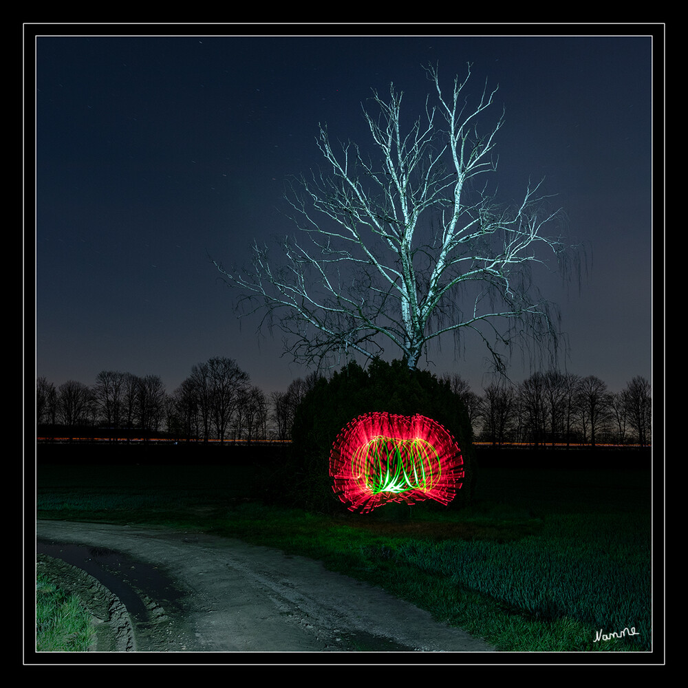 Lichterscheinung
Schlüsselwörter: Lichtmalerei; Lightpainting; 2021