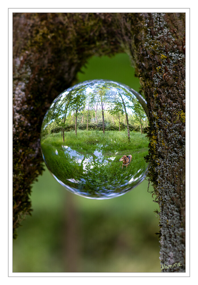 Kugelwelt
Schlüsselwörter: Kugel; Kugelfoto;