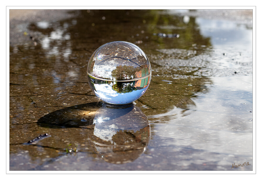 Spiegelwelt
in einer Wasserpfütze 
Schlüsselwörter: Kugel; Kugelfoto;