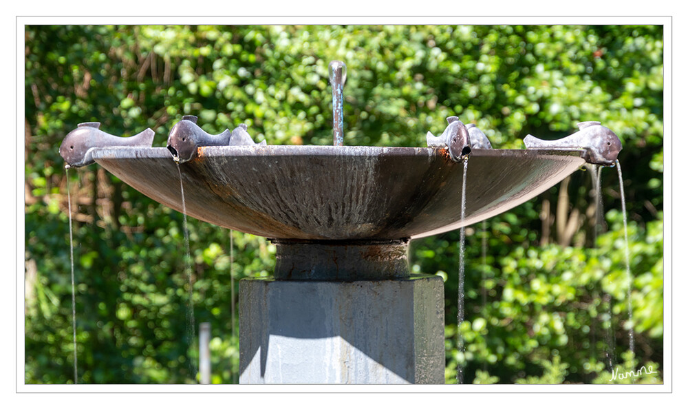 Fischbrunnen im Rosengarten
Blende 5,6 bei 1.3 sek.
Schlüsselwörter: Neuss; Brunnen