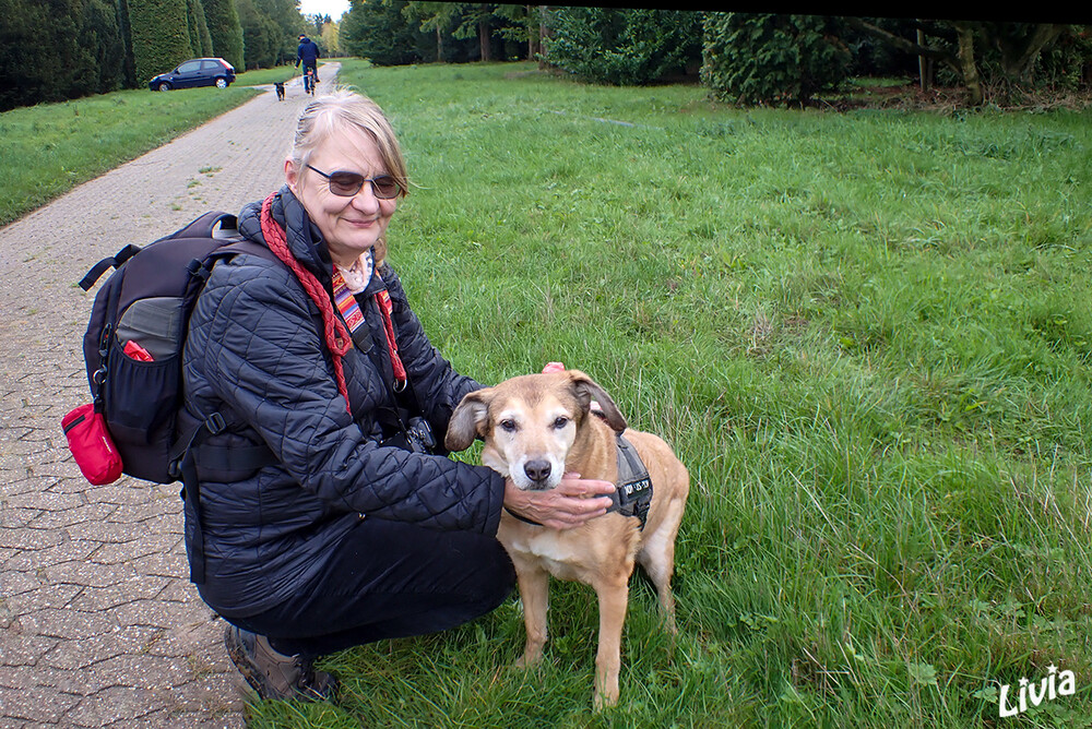 Unterwegs mit Hund
Schlüsselwörter: Oma; Joy