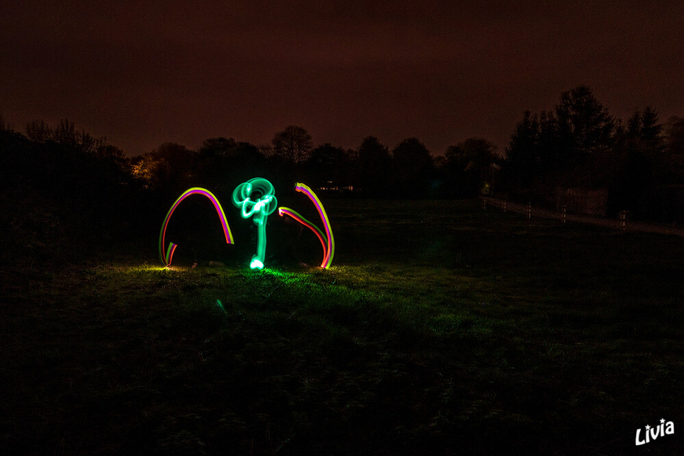 Eine Lichtblume
Schlüsselwörter: Lichtmalerei; Lightpainting