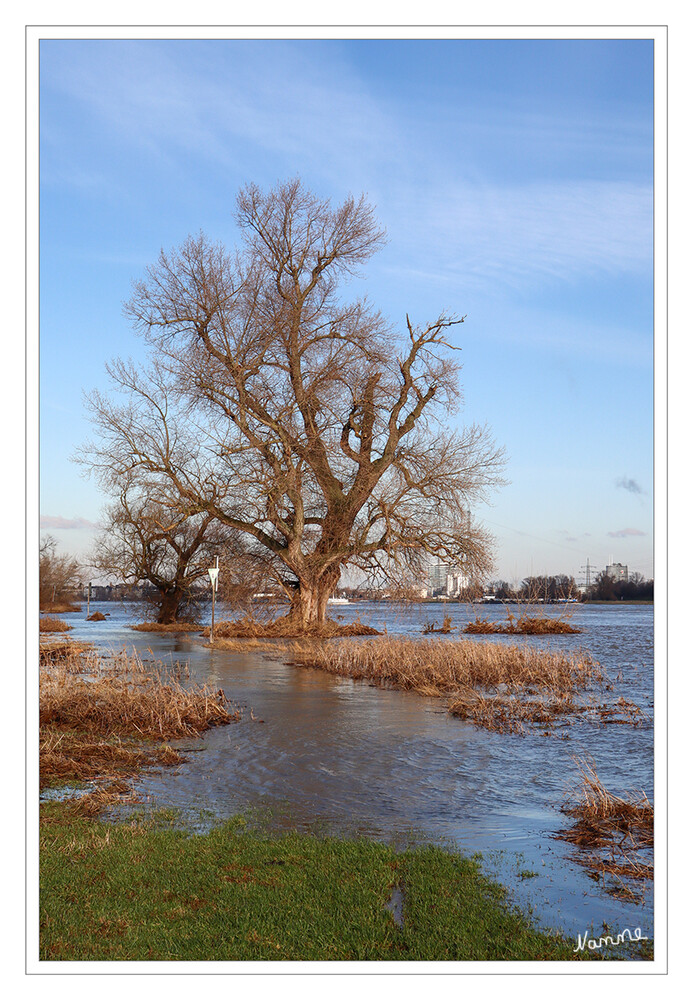 2 - Am Rhein
Das Hochwasser geht zurück
Schlüsselwörter: 2024
