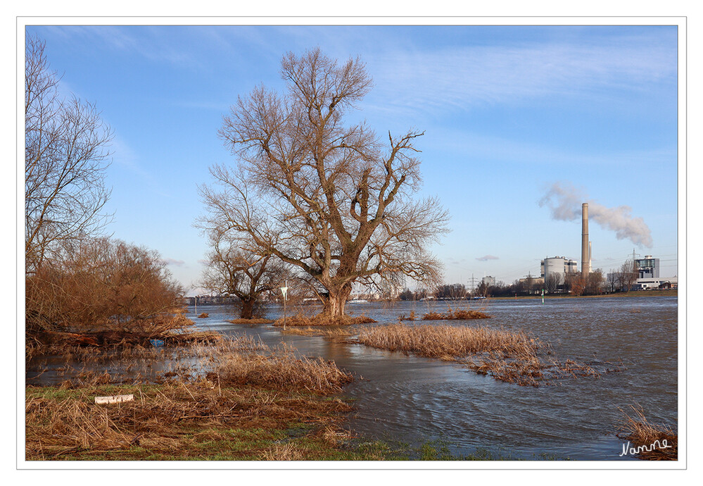 Am Rhein
Der Dauerregen hat endlich nachgelassen und das Hochwasser zieht sich zurück.
Schlüsselwörter: 2024