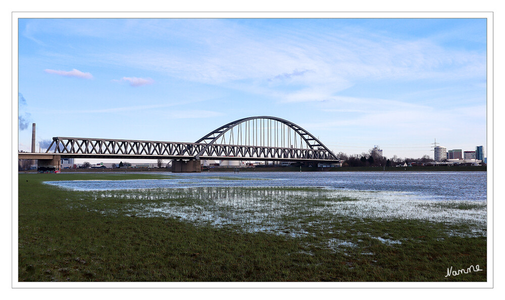 Am Rhein 
Das Rhein-Hochwasser im Januar 2024 hat am Sonntag am Niederrhein seinen Höchststand erreicht. Nun fallen die Pegel wieder.
Schlüsselwörter: 2024