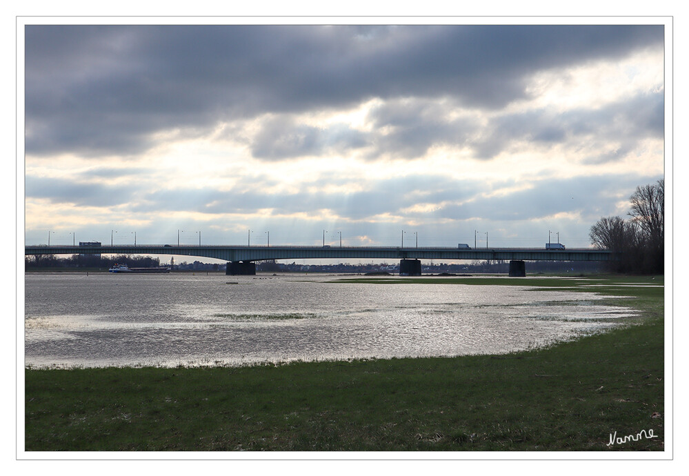 Am Rhein bei Gegenlicht
zieht sich das Hochwasser zurück. 
Schlüsselwörter: 2024