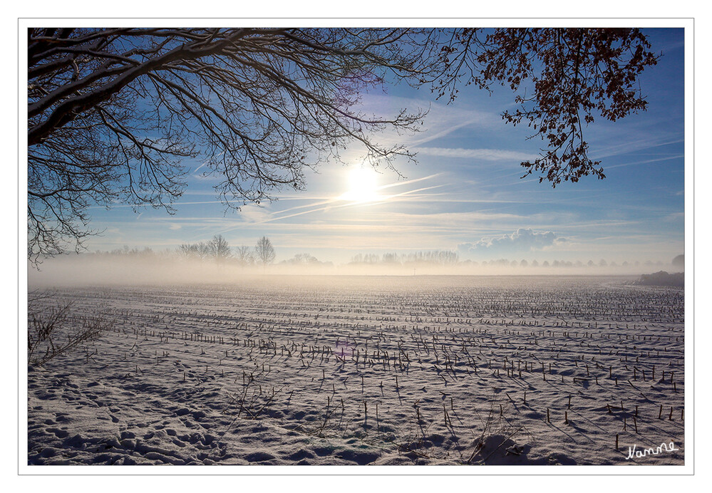 3 - Winterintermezzo
Schlüsselwörter: 2024