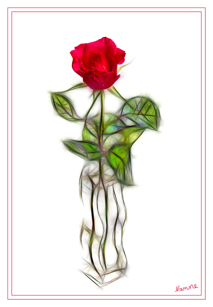 Rose
mit Filter bearbeitet
Schlüsselwörter: 2024