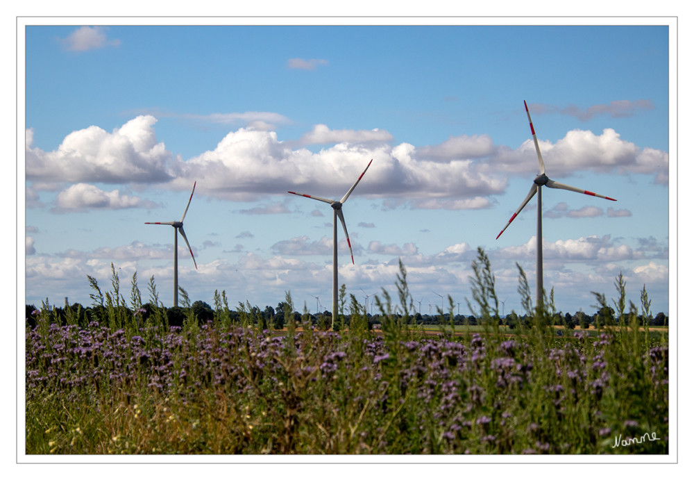 30 - Drei Windräder
Schlüsselwörter: 2025