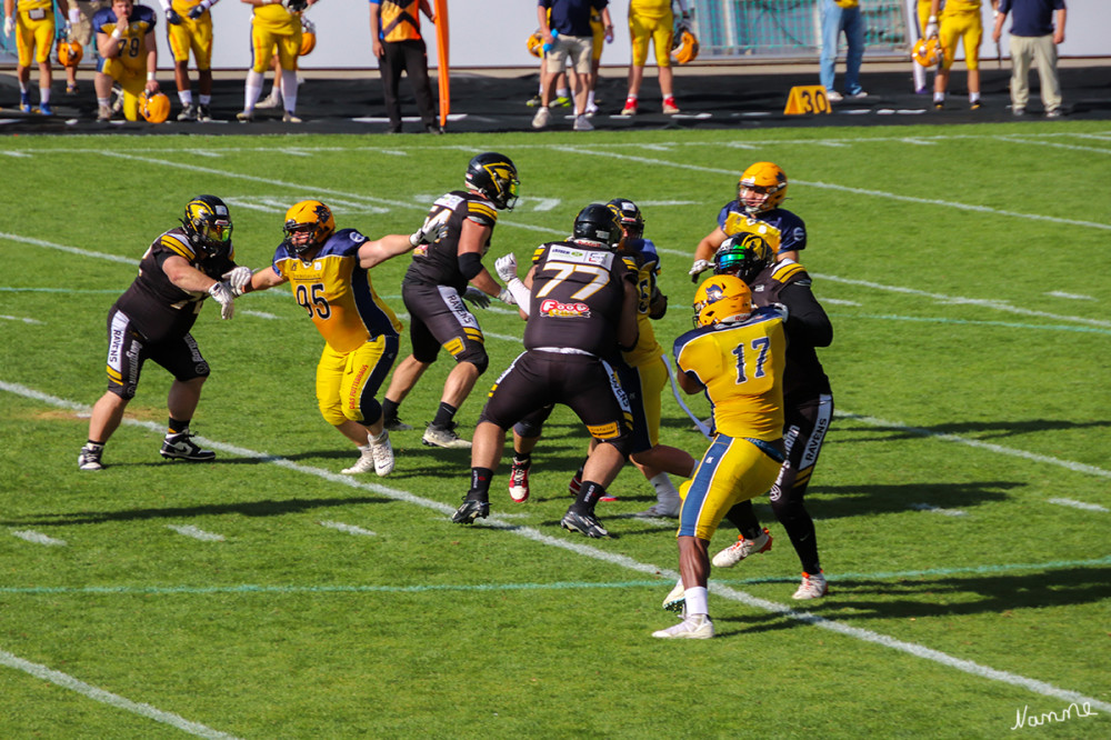 American Football
Krefeld Ravens vs. Elmshorn Fighting Pirates
Schlüsselwörter: 2025