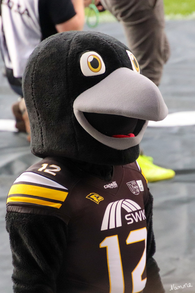 American Football
Das Maskottchen der Krefeld Ravens heißt Rick Raven und ist ein Rabe. Es wurde im April 2019 offiziell vorgestellt und begleitet das American-Football-Team seither bei Heimspielen und anderen Veranstaltungen, um die Fans anzufeuern und für gute Stimmung zu sorgen. 

Schlüsselwörter: 2025