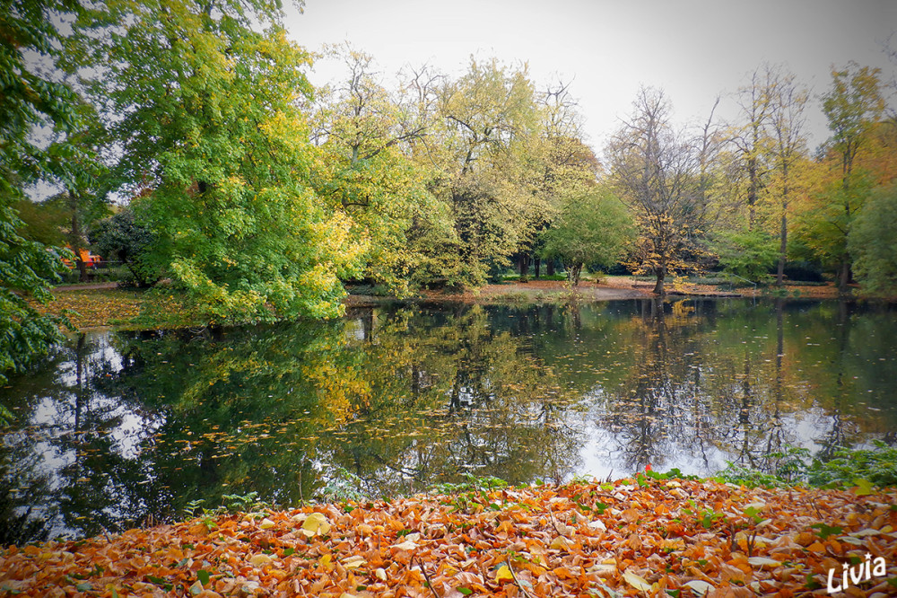 Volksgarten 
Bereits 1895/96 wurde hier auf elf Hektar die Illusion einer idealtypischen Landschaft geschaffen: elegante Alleen, romantische Weiher, dichtes Buschwerk und weite Wiesen – wen wundert es, dass der Düsseldorfer Süden sich angesichts dieser Pracht beim ersten Sonnenstrahl in seinen volkseigenen Garten begibt? lt.visitduesseldorf
Schlüsselwörter: 2025