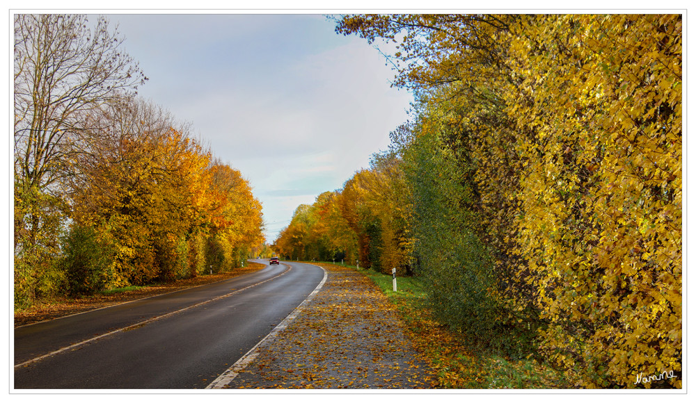 45 - Indian Summer in Germany
Schlüsselwörter: 2025
