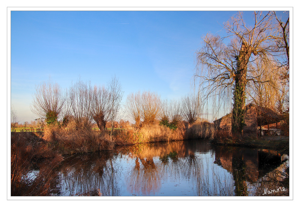 Blick über den Teich
im Dezember
Schlüsselwörter: 2025