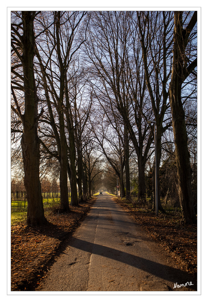 Winterallee
Schlüsselwörter: 2026