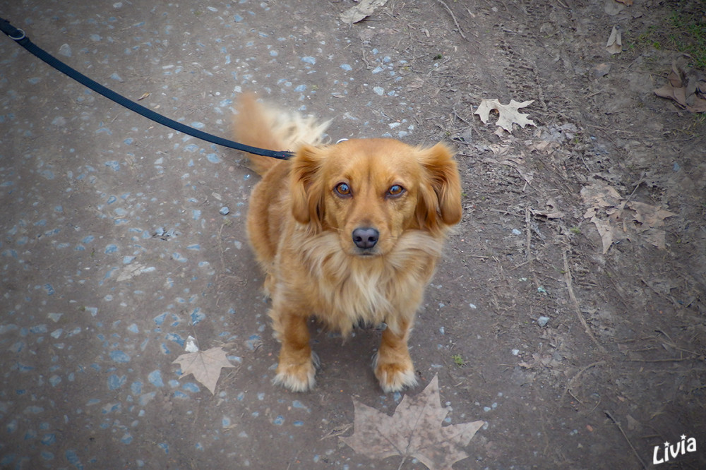 Akira
Schlüsselwörter: 2026