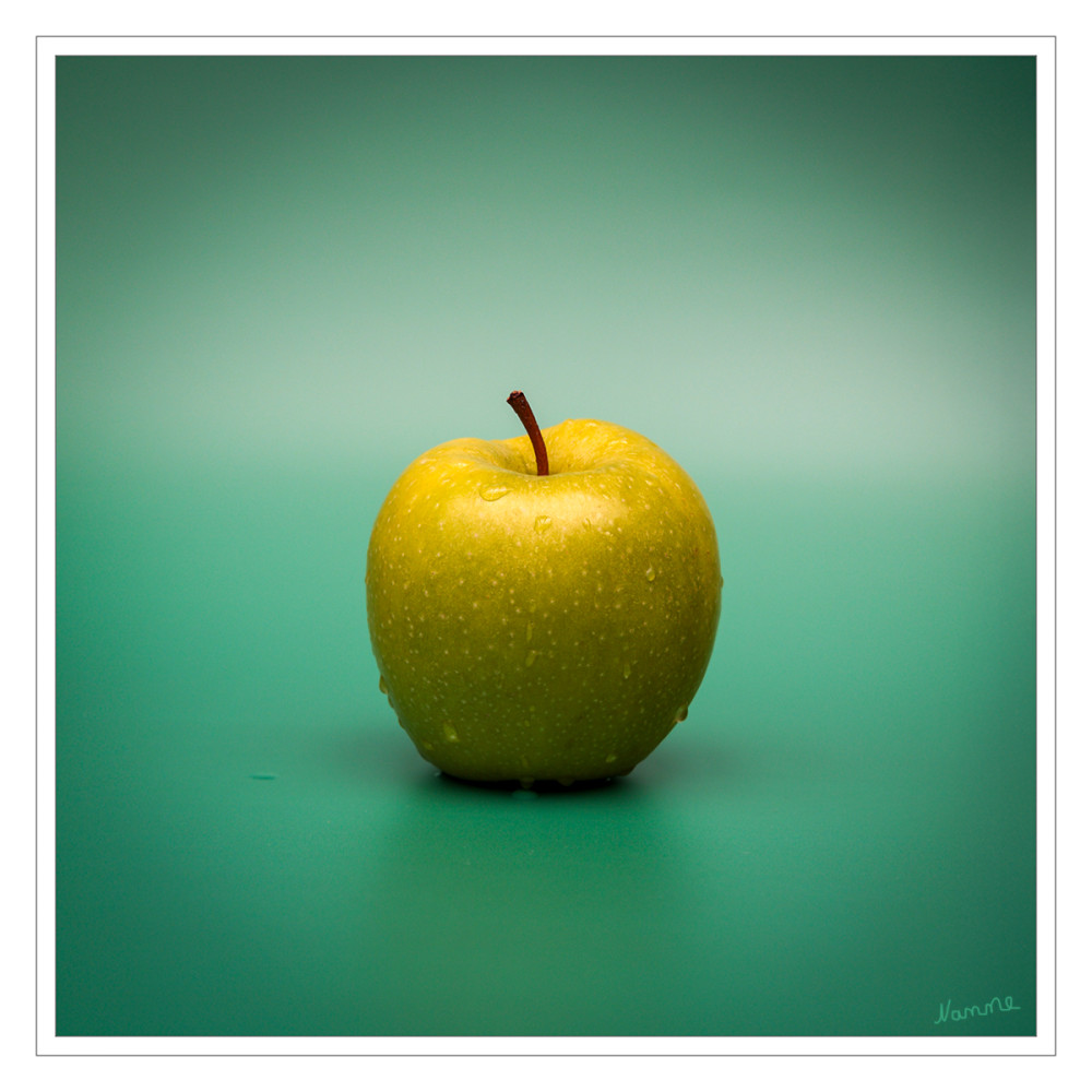 Grüntöne 
Schlüsselwörter: 2026