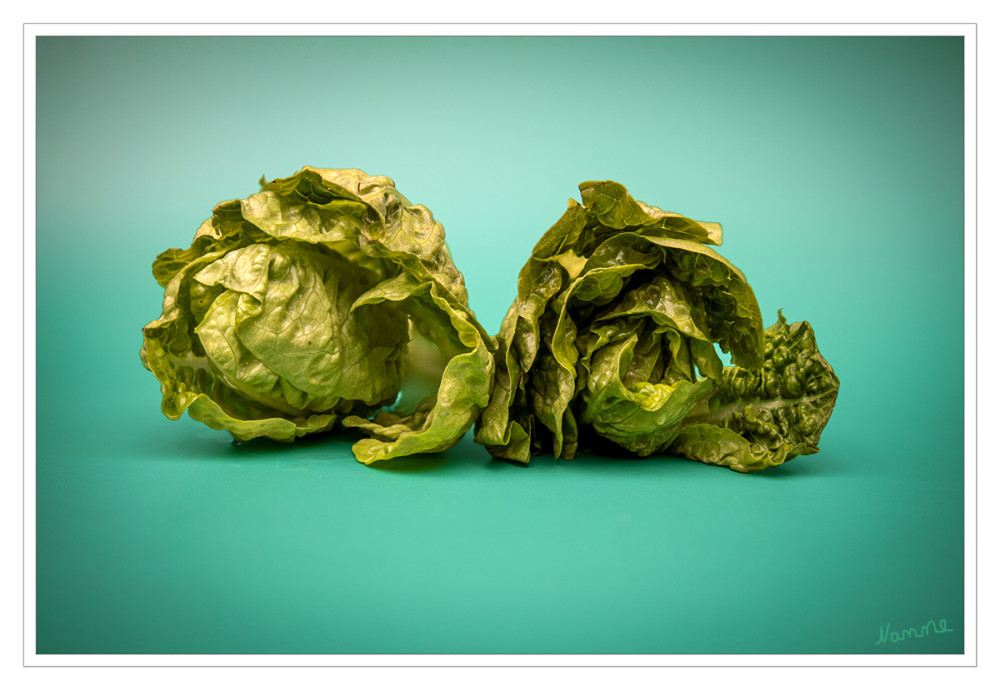 Grüntöne
Schlüsselwörter: 2026