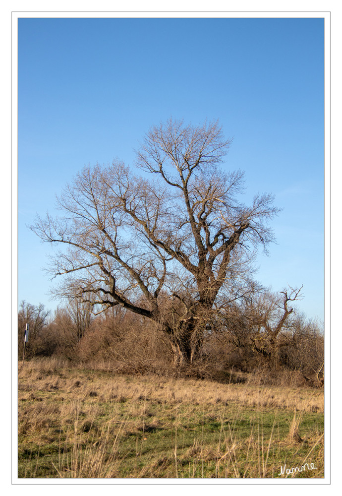 Warten auf den Frühling
Schlüsselwörter: 2026