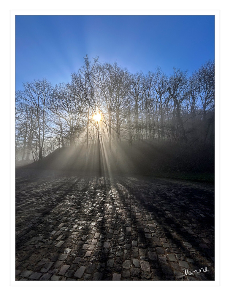 10 - Eine besondere Lichtstimmung
Schlüsselwörter: Rheinland-Pfalz; 2026