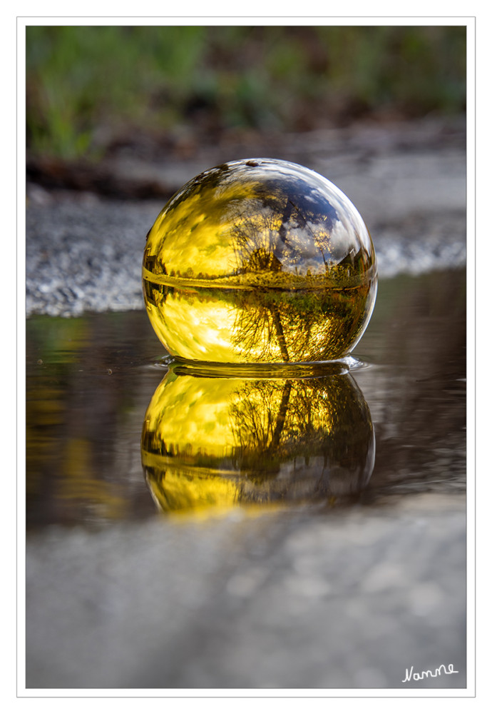 12 - Noch ein Pfützenfoto
Schlüsselwörter: 2026