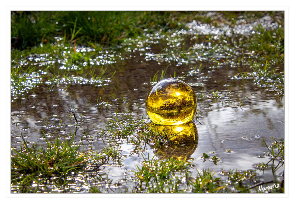 Pfützenfoto
Schlüsselwörter: 2026