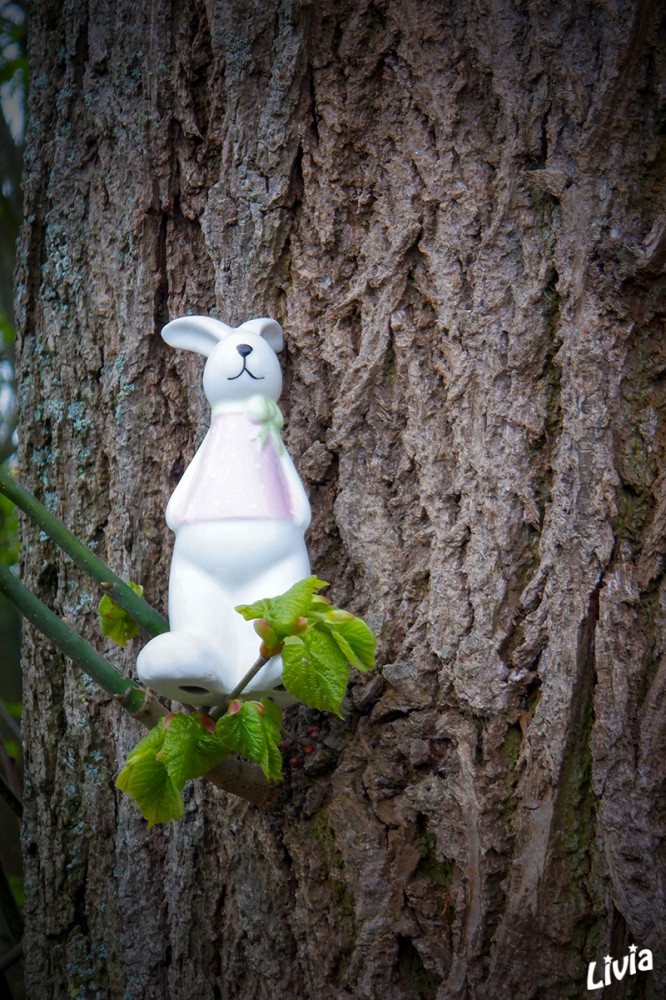 Hasi on tour VI
Schlüsselwörter: 2026