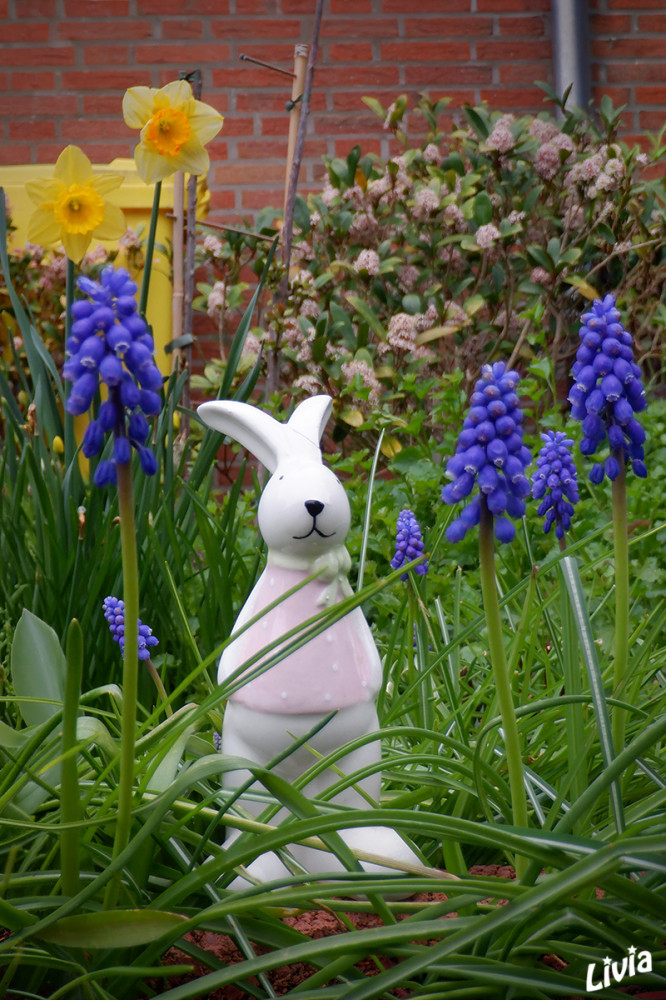Hasi on tour III
Schlüsselwörter: 2026