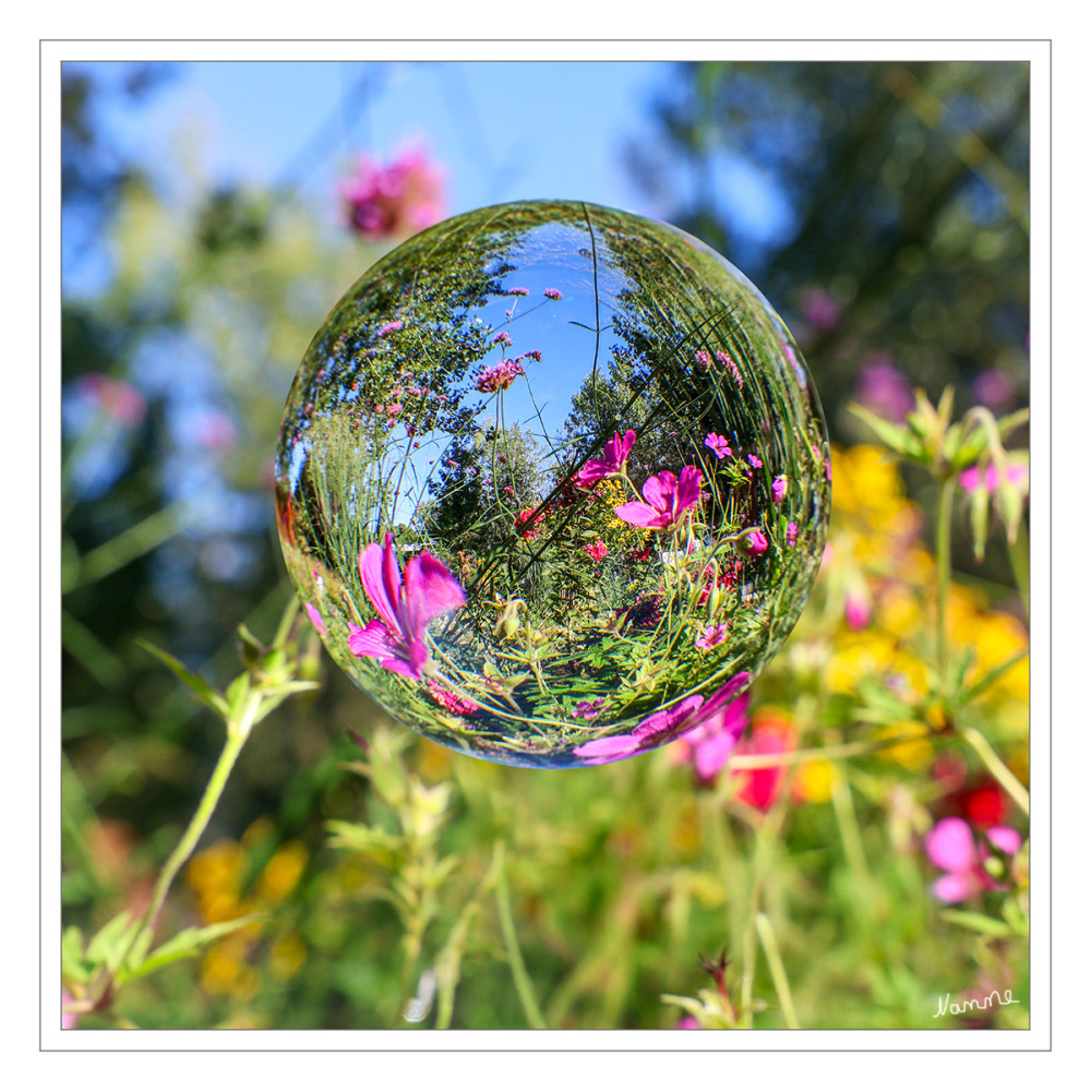 Blumenlandschaft in einer Kugel eingefangen
Schlüsselwörter: 2026