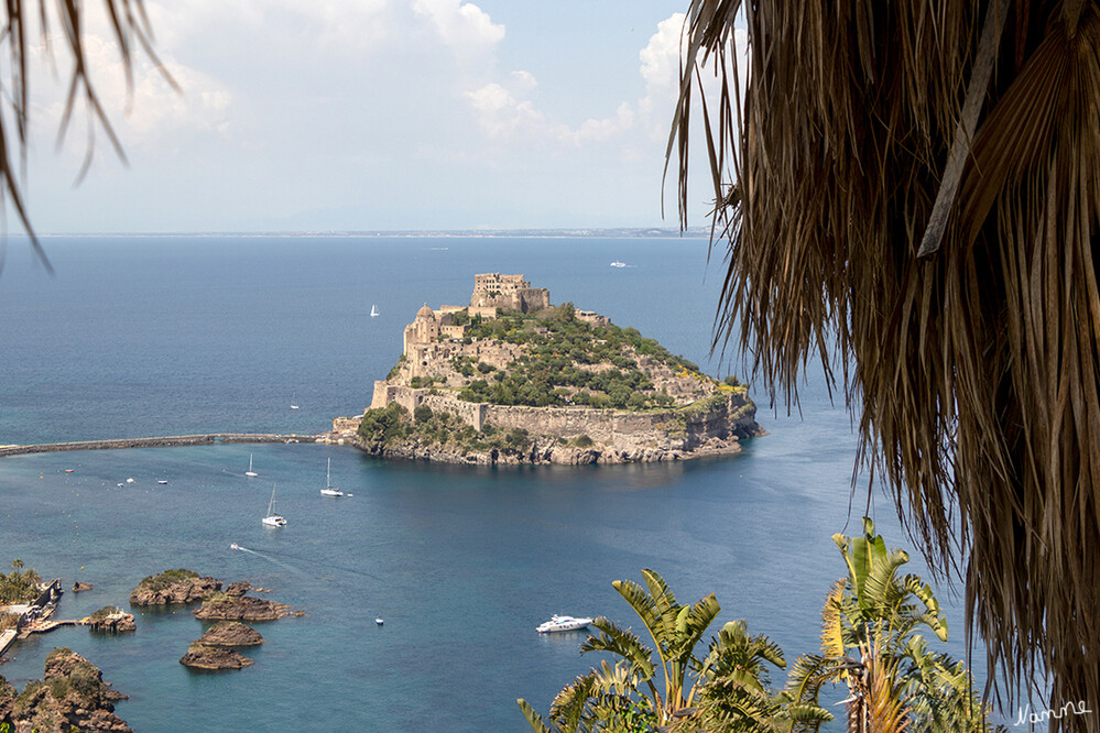 Blick auf das Castello Aragonese
Schlüsselwörter: Italien; Ischia