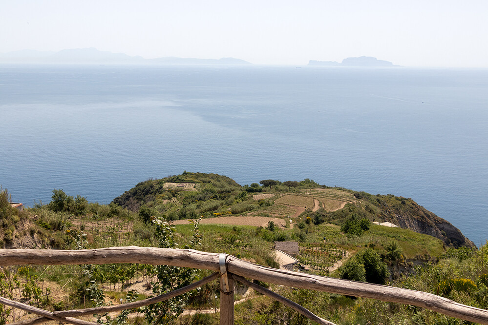 Ausblick
Schlüsselwörter: Italien; Ischia