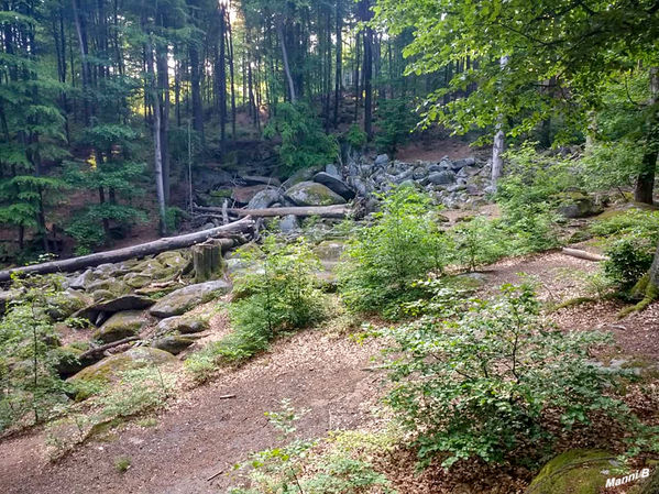 Felsenmeer
auf dem Felsberg oberhalb von Lautertal-Reichenbach im Vorderen Odenwald ist eine Felsenlandschaft aus dunkelgrauem Quarzdiorit, die durch Wollsackverwitterung entstand. Das Felsenmeer wurde bereits von den Römern und später durch die örtlichen Steinmetze zur Steingewinnung genutzt. Wikipedia 
