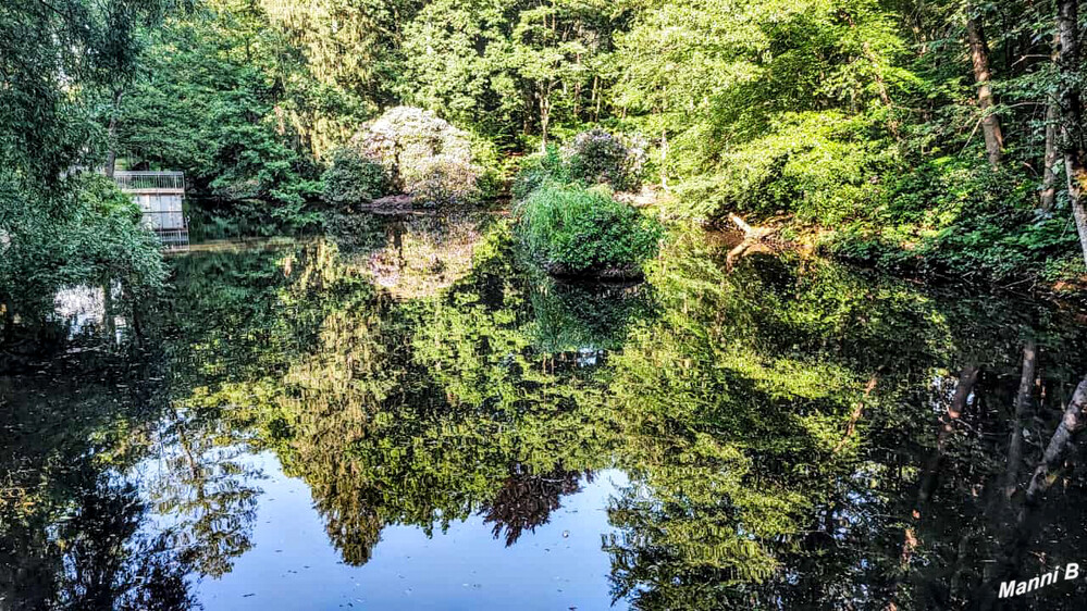 Wassenberger Wald
