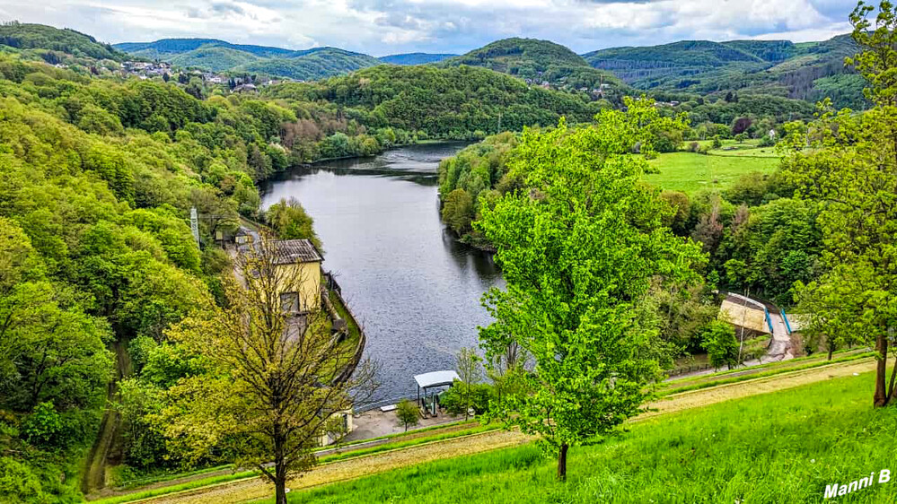 Blick von der Rurtalstauseemauer
runter ins Tal
Schlüsselwörter: Eifel