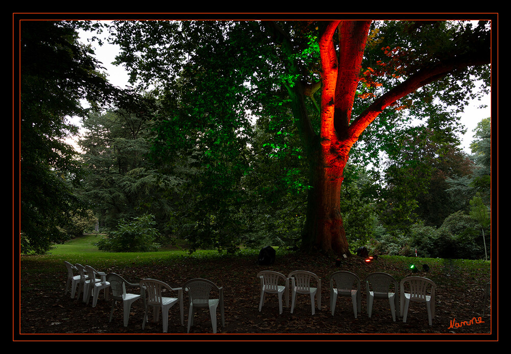 Lichtfestival
Schloß Dyck - der sprechende Baum
Schlüsselwörter: Schloß Dyck