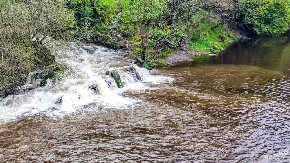 Zufluss der Rur
in den Obersee (Rursee)
Schlüsselwörter: Eifel