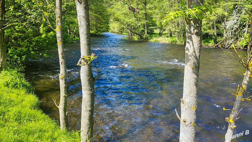 Erlebniswanderung
Wieder unten an der Rur
Schlüsselwörter: Eifel