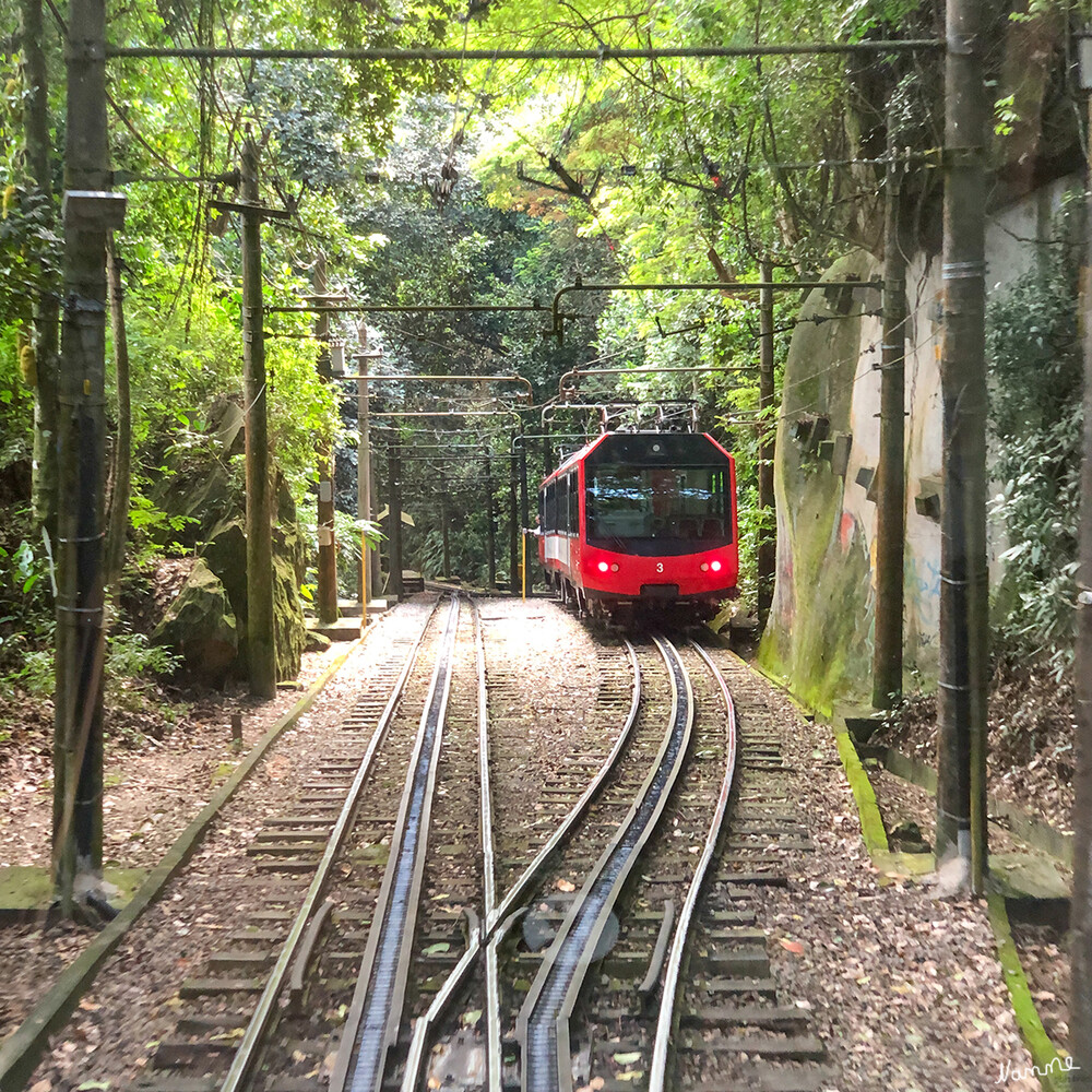 4 Brasilien - Auf dem Corcovado mit der Zahnradbahn
Eine Serpentinenstraße und eine Zahnradbahn, die Corcovado-Bergbahn, führen bis nahe unterhalb des Gipfels des Corcovado. Die letzten Meter bis zum Gipfel führen über eine Treppe mit 220 Stufen. Seit 2003 gibt es neben der Treppe auch Panorama-Aufzüge und Rolltreppen, um die Aussichtsplattform bei der Statue zu erreichen. laut Wikipedia
Schlüsselwörter: Rio de Janeiro