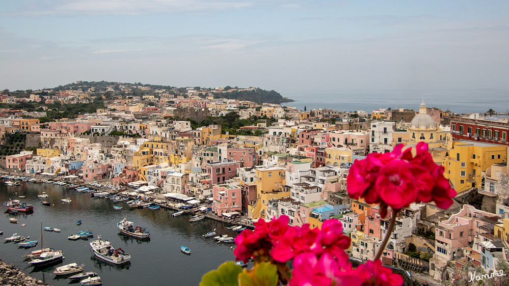 Procida
Blick auf den Ortsteil Corricella
Die dichte Bebauung der Insel hat seinen Grund, denn Procida ist die am dichtesten besiedelte Insel im Mittelmeerraum, bebaubare Flächen sind hier Mangelware. Entstanden ist die nur 4 km² große Insel, wie der komplette Golf von Neapel, aus vulkanischen Aktivitäten, die bizarren Klippen und vereinzelte Krater zeugen auch heute noch von dieser Naturgewalt. laut urlaubsguru
Schlüsselwörter: Italien