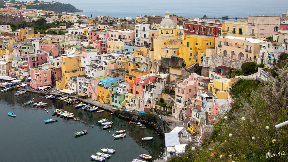 Procida
Blick auf den Ortsteil Corricella von Terra Murata
Schlüsselwörter: Italien