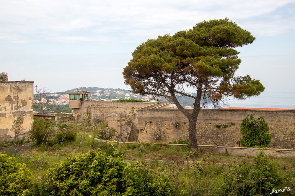 Palazzo d`Avalos - Gefängnis
Diese riesige Festung mit Blick auf Terra Murata wurde 1563 von Innico d'Avalos, dem Sohn von Alfonso und Maria d'Aragona, erbaut. Später Königlicher Palast der Bourbonen und ab 1815 wurde die Festung in eine Militärschule umgewandelt. 1830 wurde es das Gefängnis für Bourbon-Gefangene. laut napolike
Schlüsselwörter: Italien