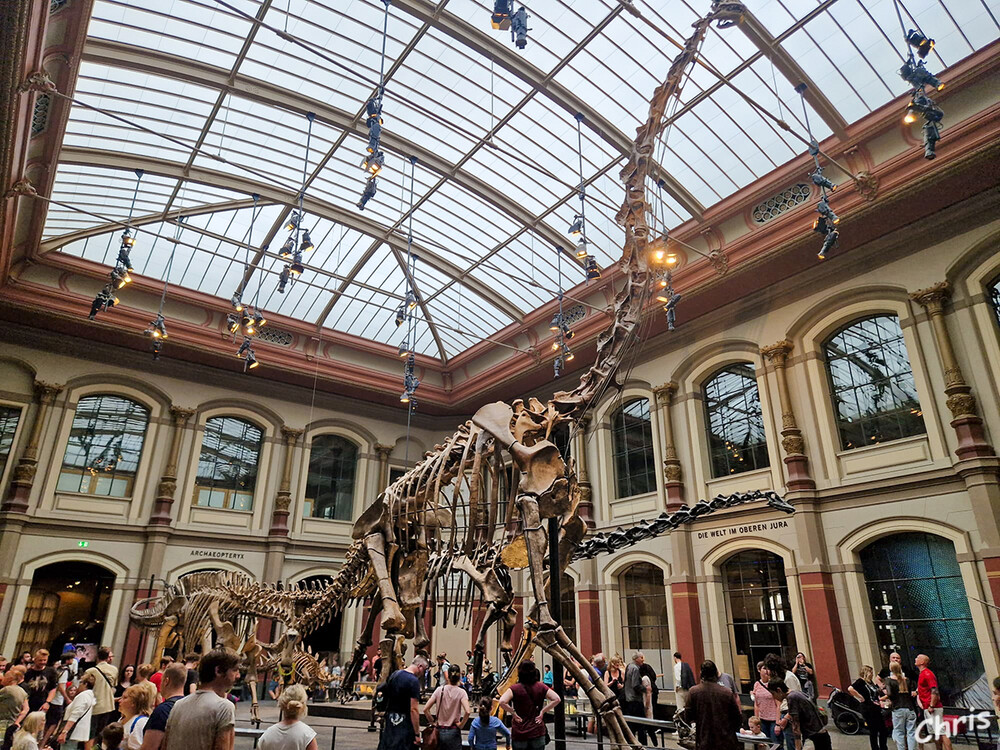 Naturkundemuseum
Im zentralen Lichthof zeigt das Museum für Naturkunde Fossilien von Tieren und Pflanzen aus der späten Jurazeit. Eine Vielzahl der ausgestellten Objekte stammt aus einer Grabung des Museums, die zwischen 1909 und 1913 am Tendaguru, einem Hügel in der Lindi-Region im heutigen Tansania stattfand. Dort wurden unter der Leitung des Paläontologen Werner Janensch rund 230 Tonnen Knochen geborgen. laut museumfüernaturkunde
Schlüsselwörter: Berlin