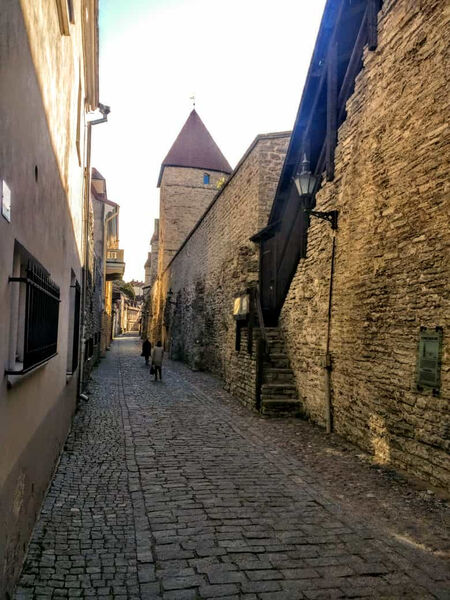 Tallinn
Alte Stadtmauer innen
Schlüsselwörter: Estland