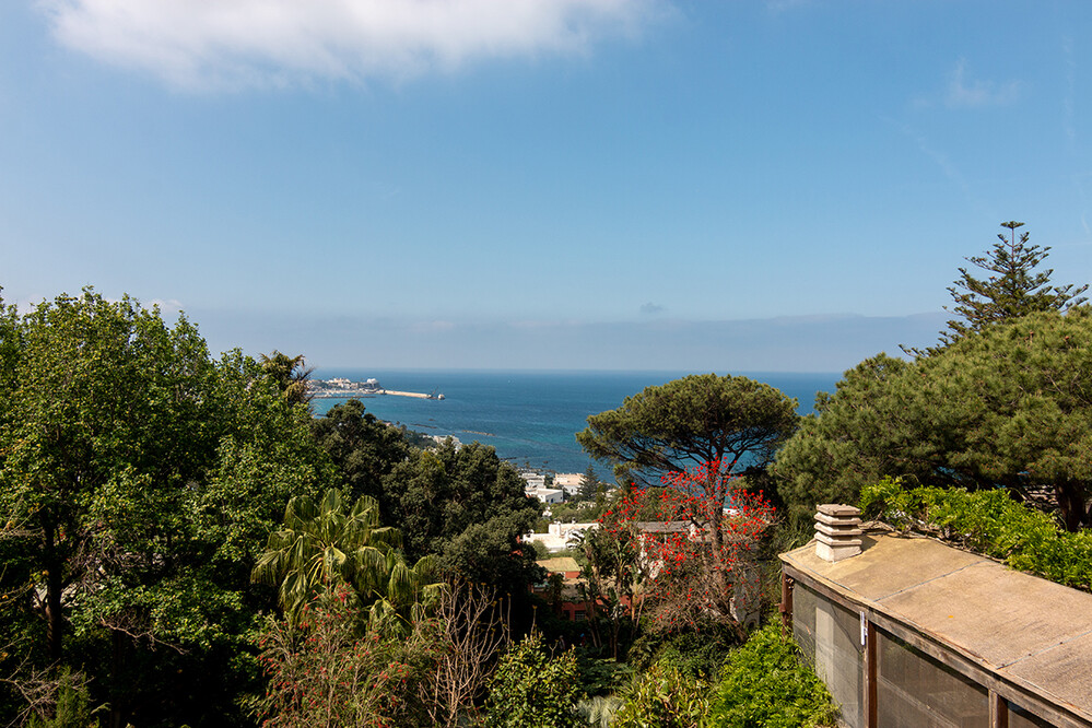 Botanischer Garten La Mortelle
Herrlicher Ausblick Richtung Forio von den oberen Terrassen
Schlüsselwörter: Italien; Ischia
